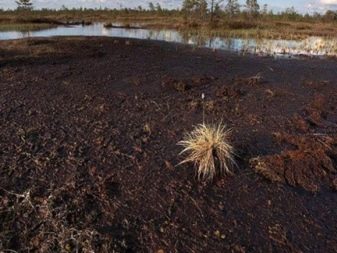 Фундамент на болоте: основание на болотистой местности при высоком уровне грунтовых вод, конструкция под дом на влажной почве своими руками